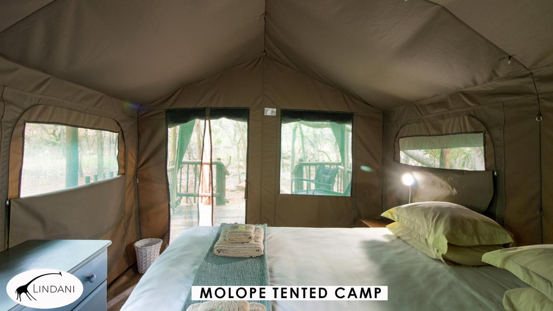 Lindani Game And Lodges Vaalwater Buitenkant foto