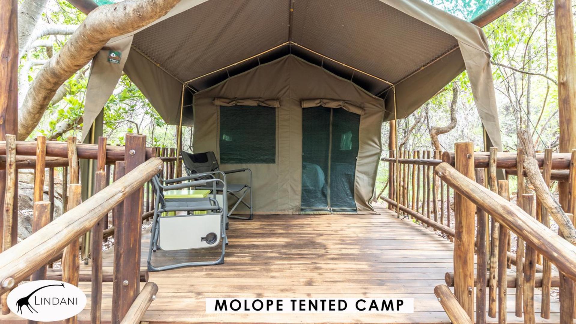 Lindani Game And Lodges Vaalwater Buitenkant foto