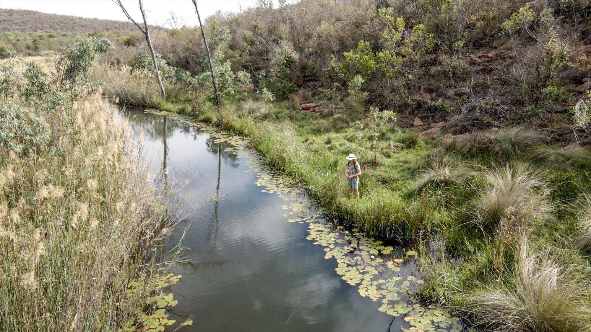 Lindani Game And Lodges Vaalwater Buitenkant foto
