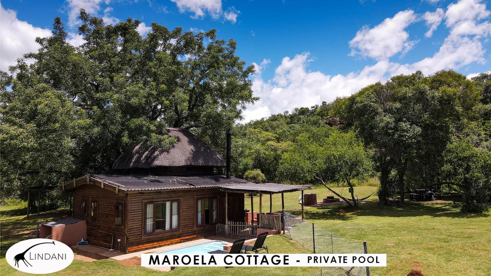 Lindani Game And Lodges Vaalwater Buitenkant foto